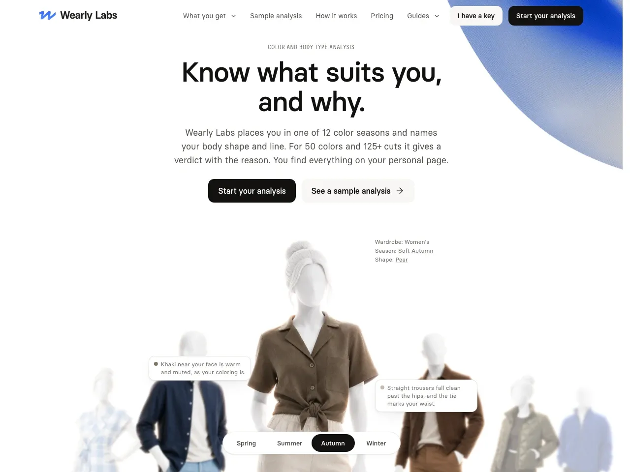 Wearly Labs website homepage